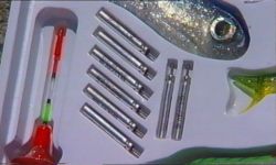 Line Lites Lures