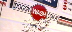 Doggy Wash